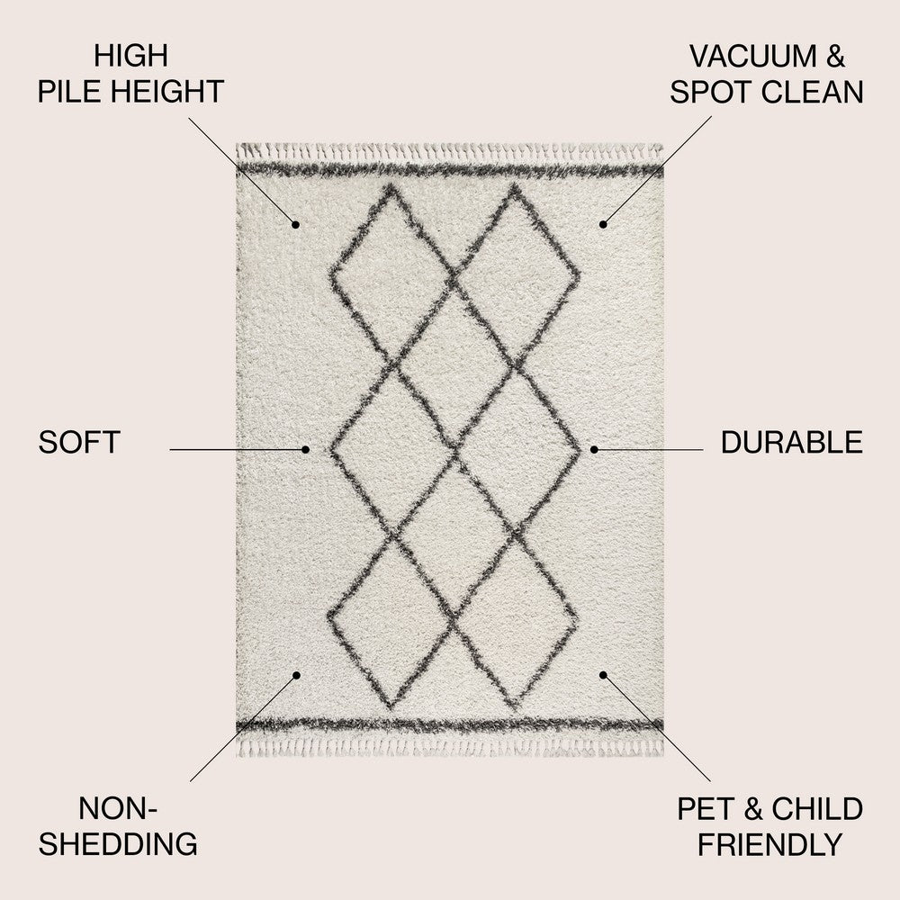 Leland Mercer Shag Plush Tassel Area Rug