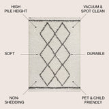 Leland Mercer Shag Plush Tassel Area Rug