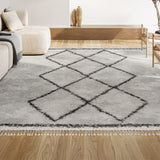 Leland Mercer Shag Plush Tassel Area Rug