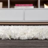 Leland Mercer Shag Plush Tassel Area Rug