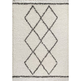 Leland Mercer Shag Plush Tassel Area Rug