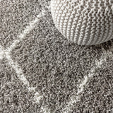 Leland Mercer Shag Plush Tassel Area Rug