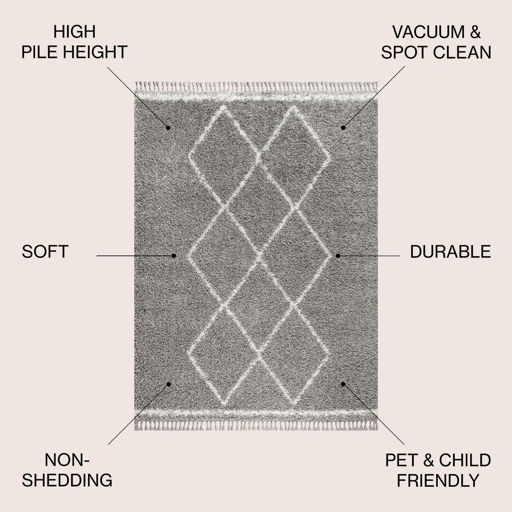 Leland Mercer Shag Plush Tassel Area Rug