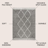 Leland Mercer Shag Plush Tassel Area Rug