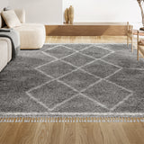 Leland Mercer Shag Plush Tassel Area Rug