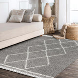 Leland Mercer Shag Plush Tassel Area Rug