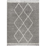 Leland Mercer Shag Plush Tassel Area Rug