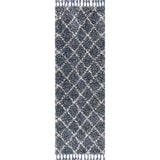 Wyoming Mercer Shag Plush Tassel Area Rug