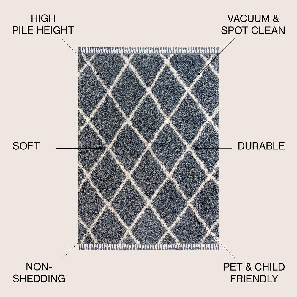 Wyoming Mercer Shag Plush Tassel Area Rug