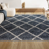 Wyoming Mercer Shag Plush Tassel Area Rug