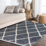 Wyoming Mercer Shag Plush Tassel Area Rug