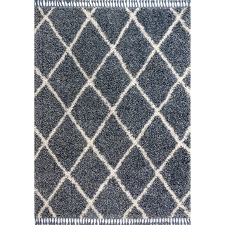Wyoming Mercer Shag Plush Tassel Area Rug