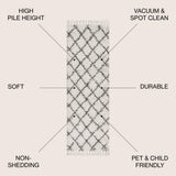Wyoming Mercer Shag Plush Tassel Area Rug