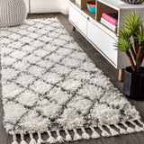 Wyoming Mercer Shag Plush Tassel Area Rug