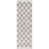 Wyoming Mercer Shag Plush Tassel Area Rug