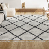 Wyoming Mercer Shag Plush Tassel Area Rug