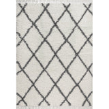 Wyoming Mercer Shag Plush Tassel Area Rug