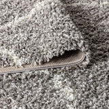 Wyoming Mercer Shag Plush Tassel Area Rug