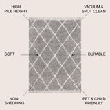 Wyoming Mercer Shag Plush Tassel Area Rug