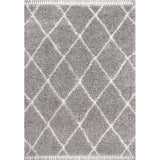 Wyoming Mercer Shag Plush Tassel Area Rug