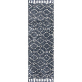 Sedona Mercer Shag Plush Tassel Area Rug