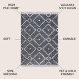 Sedona Mercer Shag Plush Tassel Area Rug