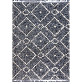 Sedona Mercer Shag Plush Tassel Area Rug