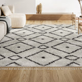 Sedona Mercer Shag Plush Tassel Area Rug