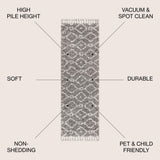 Sedona Mercer Shag Plush Tassel Area Rug