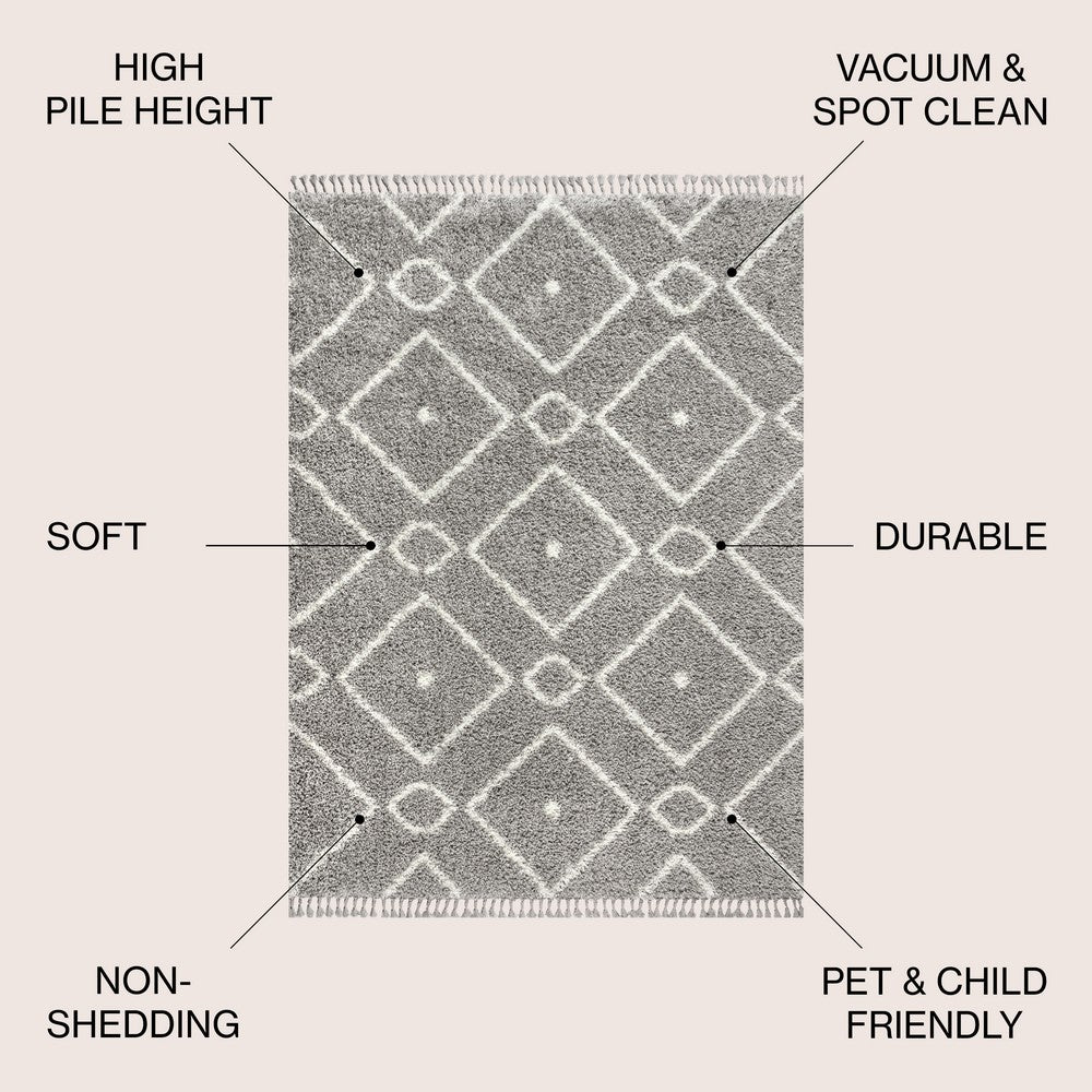 Sedona Mercer Shag Plush Tassel Area Rug