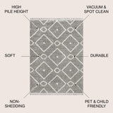 Sedona Mercer Shag Plush Tassel Area Rug