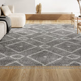 Sedona Mercer Shag Plush Tassel Area Rug