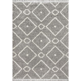 Sedona Mercer Shag Plush Tassel Area Rug