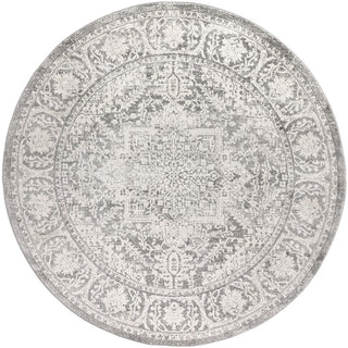 Sapporo Modern Persian Vintage Medallion Area Rug