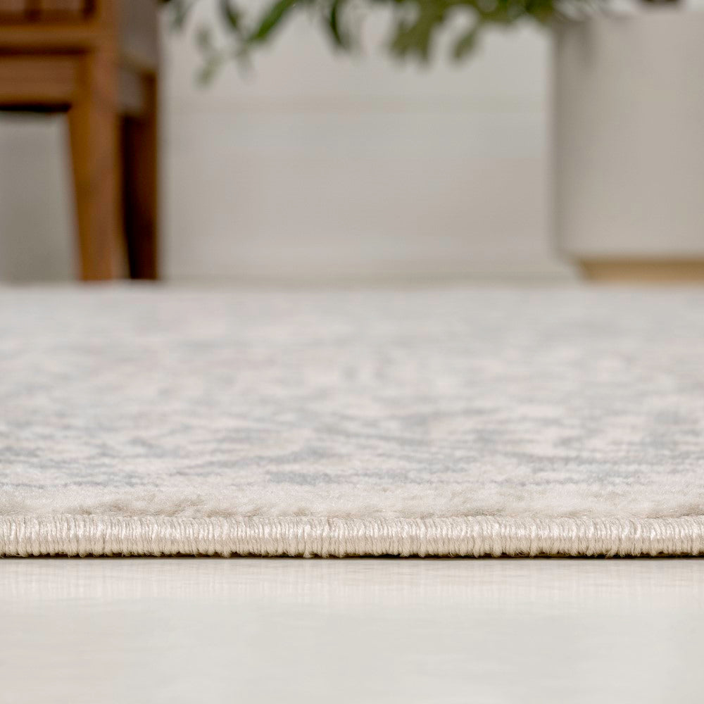 Sol Persian Vintage Medallion Area Rug