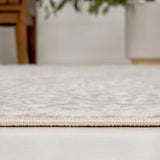 Sol Persian Vintage Medallion Area Rug
