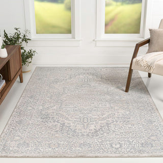 Sol Persian Vintage Medallion Area Rug