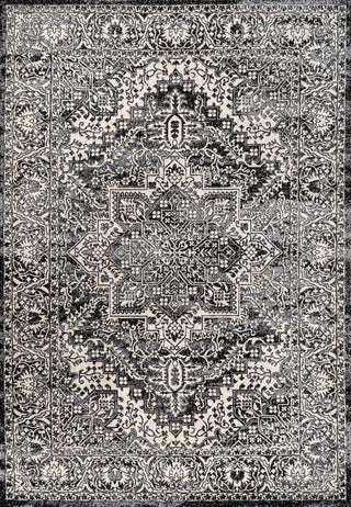 Sol Persian Vintage Medallion Area Rug