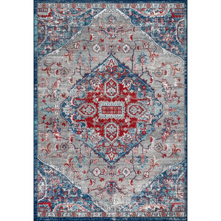 Matsue Modern Persian Vintage Medallion Area Rug
