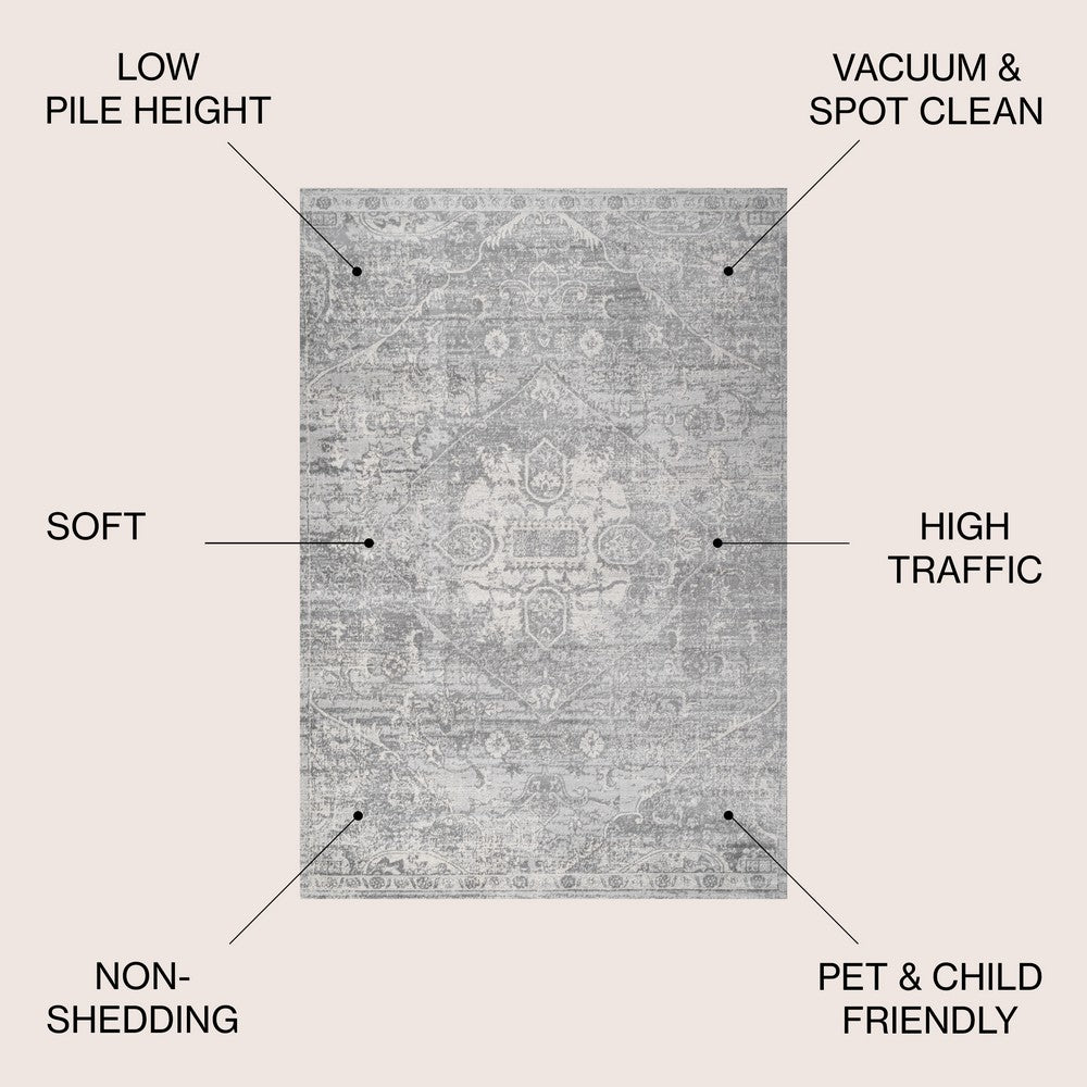 Matsue Modern Persian Vintage Medallion Area Rug