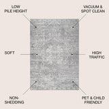 Matsue Modern Persian Vintage Medallion Area Rug