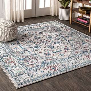 Padua Modern Persian Vintage Medallion Area Rug