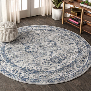 Morioka Modern Persian Vintage Medallion Area Rug