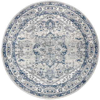Morioka Modern Persian Vintage Medallion Area Rug