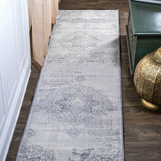 Morioka Modern Persian Vintage Medallion Area Rug