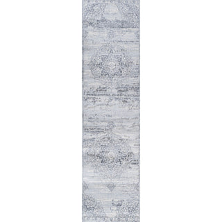 Morioka Modern Persian Vintage Medallion Area Rug