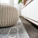 Morioka Modern Persian Vintage Medallion Area Rug