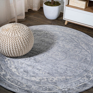 Morioka Modern Persian Vintage Medallion Area Rug
