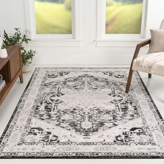 Morioka Modern Persian Vintage Medallion Area Rug