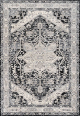 Morioka Modern Persian Vintage Medallion Area Rug